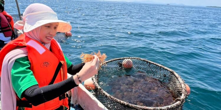 UniKL empowers Sabah youth in growing seaweed industry