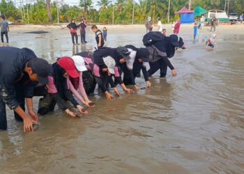 UniKL MESTECH youth lead sustainability efforts at Morib Beach