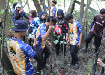 Eco-Roots project deepens mangrove conservation awareness among UniKL students