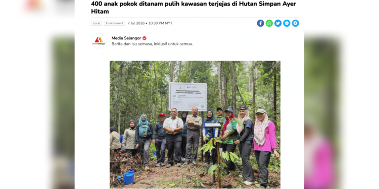 400 saplings planted to restore affected area in Ayer Hitam Forest reserve
